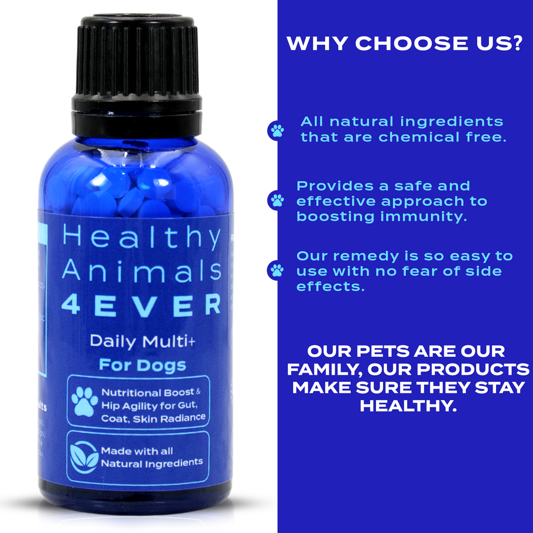 HEALTHY ANIMALS 4EVER - DAILY MULTI FOR DOGS