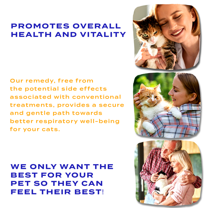 Natural Hyperthyroidism Support Formula for Cats,  Triple Pack- Save 30%