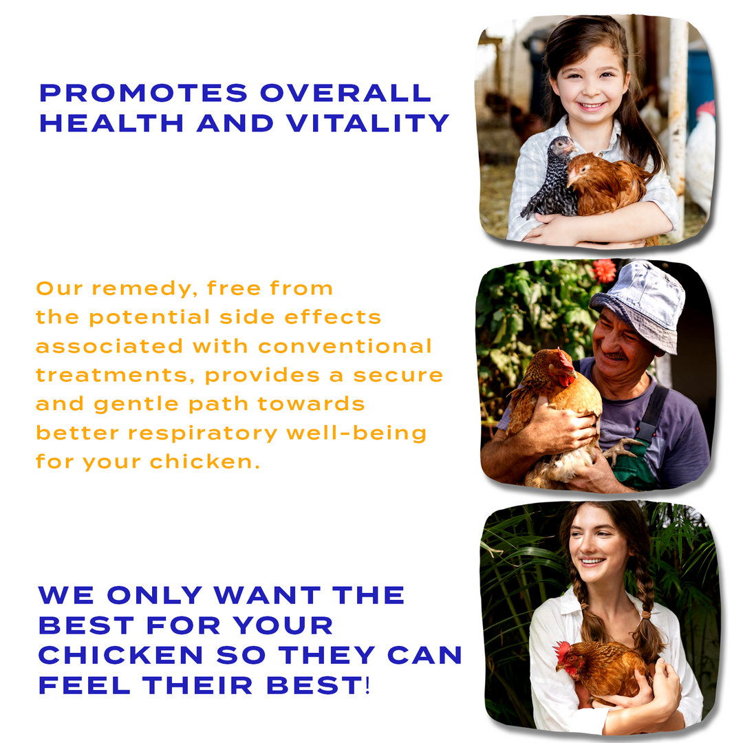 HEALTHYANIMALS4EVER ALL-NATURAL CHICKEN INJURY SUPPORT Triple Pack- Save 30%