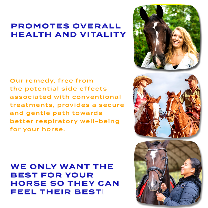 HORSE COLITIS SUPPORT