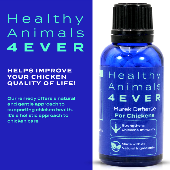 HEALTHYANIMALS4EVER ALL-NATURAL CHICKEN IMMUNITY SUPPORT FOR MAREK’S DISEASE