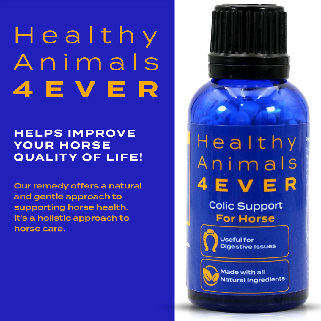 HORSE COLIC SUPPORT