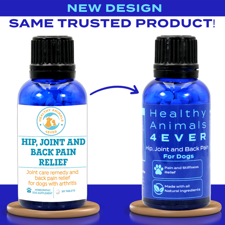 Hip, Joint and Back Pain Relief - Dogs