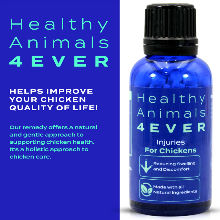 HEALTHYANIMALS4EVER ALL-NATURAL CHICKEN INJURY SUPPORT