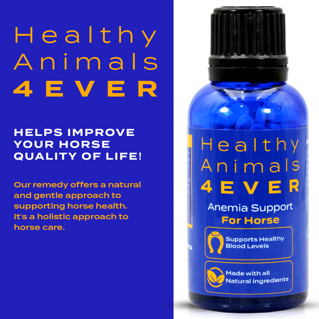 HORSE ANEMIA SUPPORT