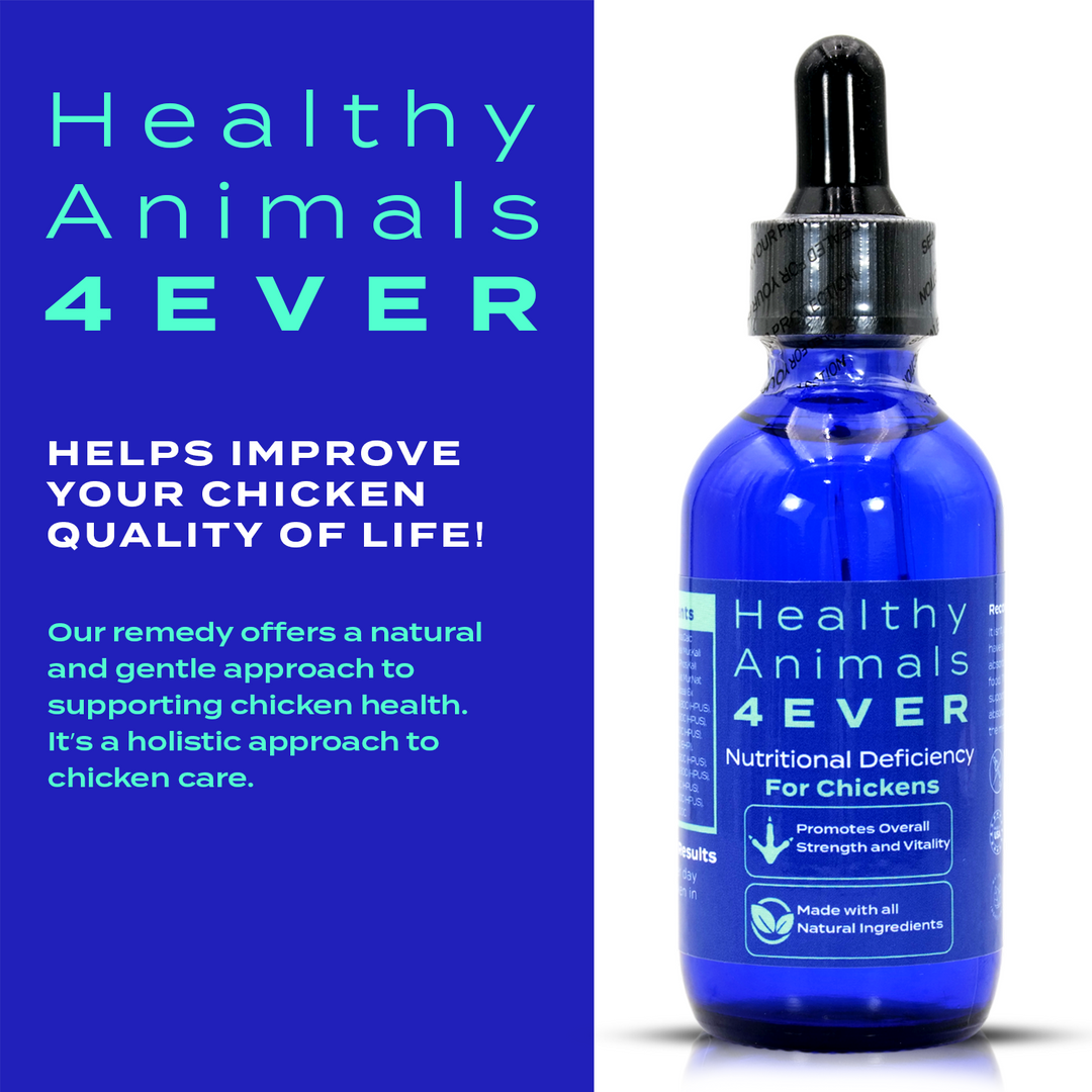 HEALTHYANIMALS4EVER ALL-NATURAL CHICKEN NUTRITIONAL DEFICIENCY SUPPLEMENT (Liquid) Six Pack- Save 50%