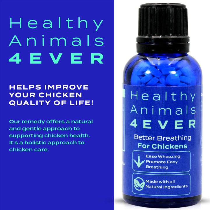 HEALTHYANIMALS4EVER ALL-NATURAL CHICKEN RESPIRATORY SUPPORT Six Pack- Save 50%