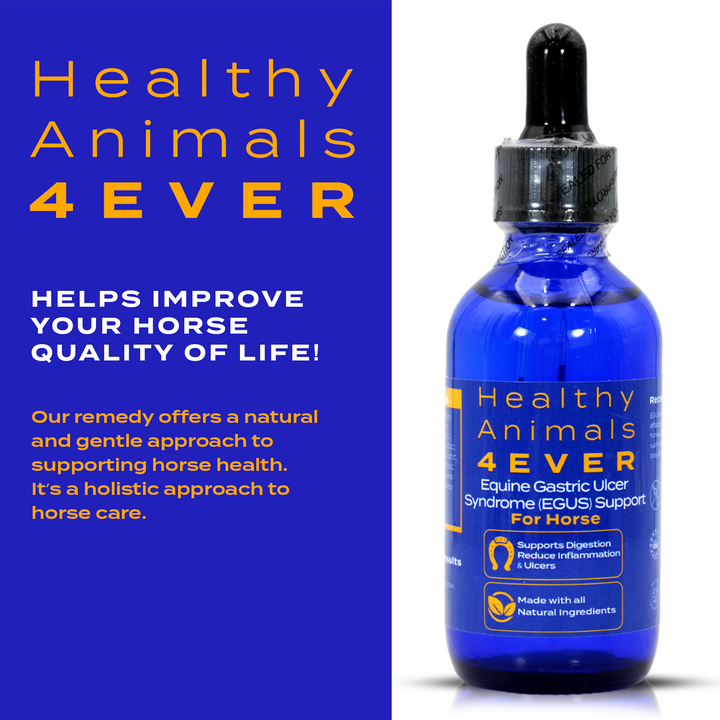 HORSE EQUINE GASTRIC ULCER SYNDROME SUPPORT (Liquid)