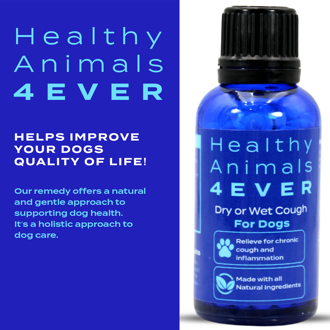 Dry or Wet Cough Formula for Dogs  Triple Pack- Save 30%