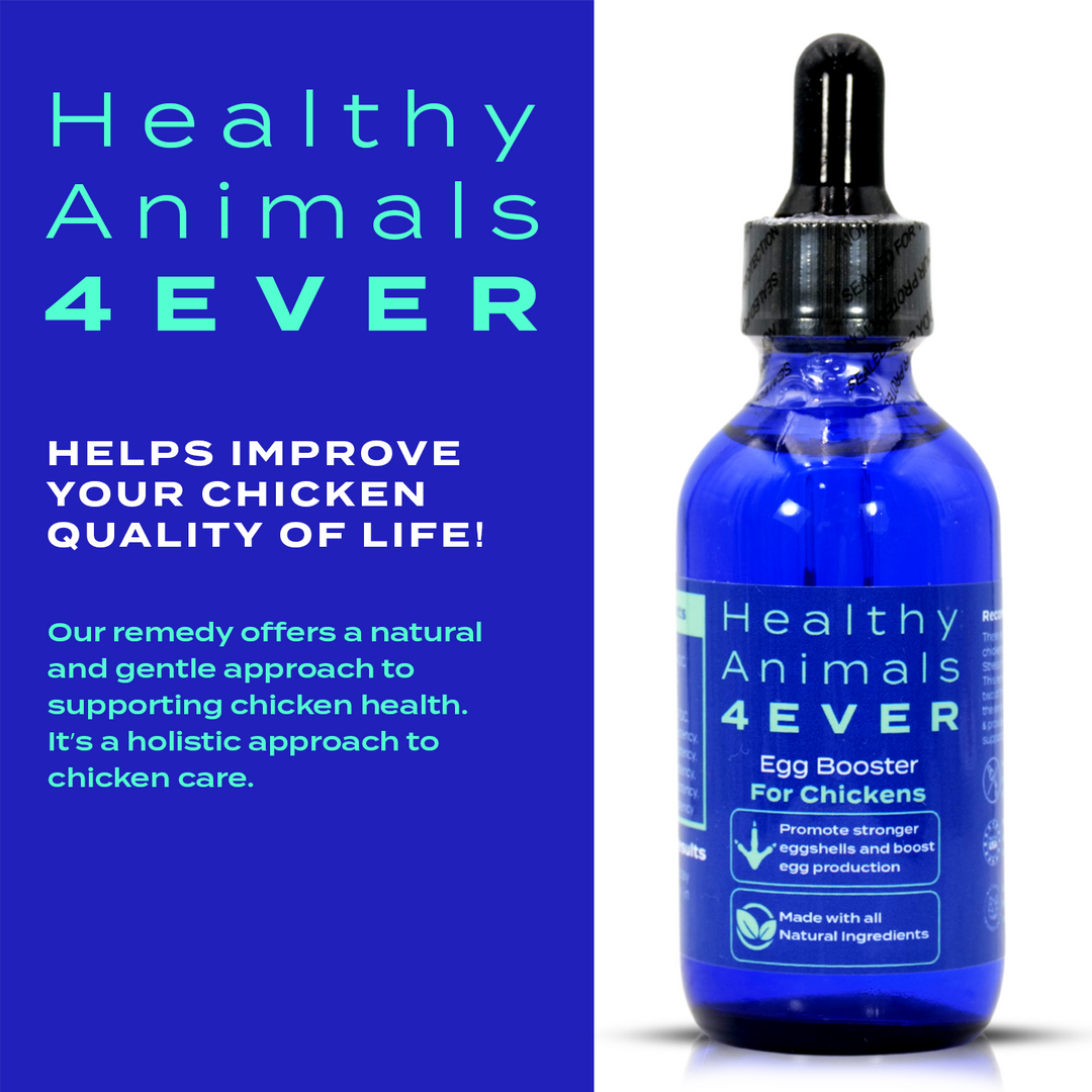 HEALTHYANIMALS4EVER ALL-NATURAL CHICKEN EGG BOOSTER (Liquid)