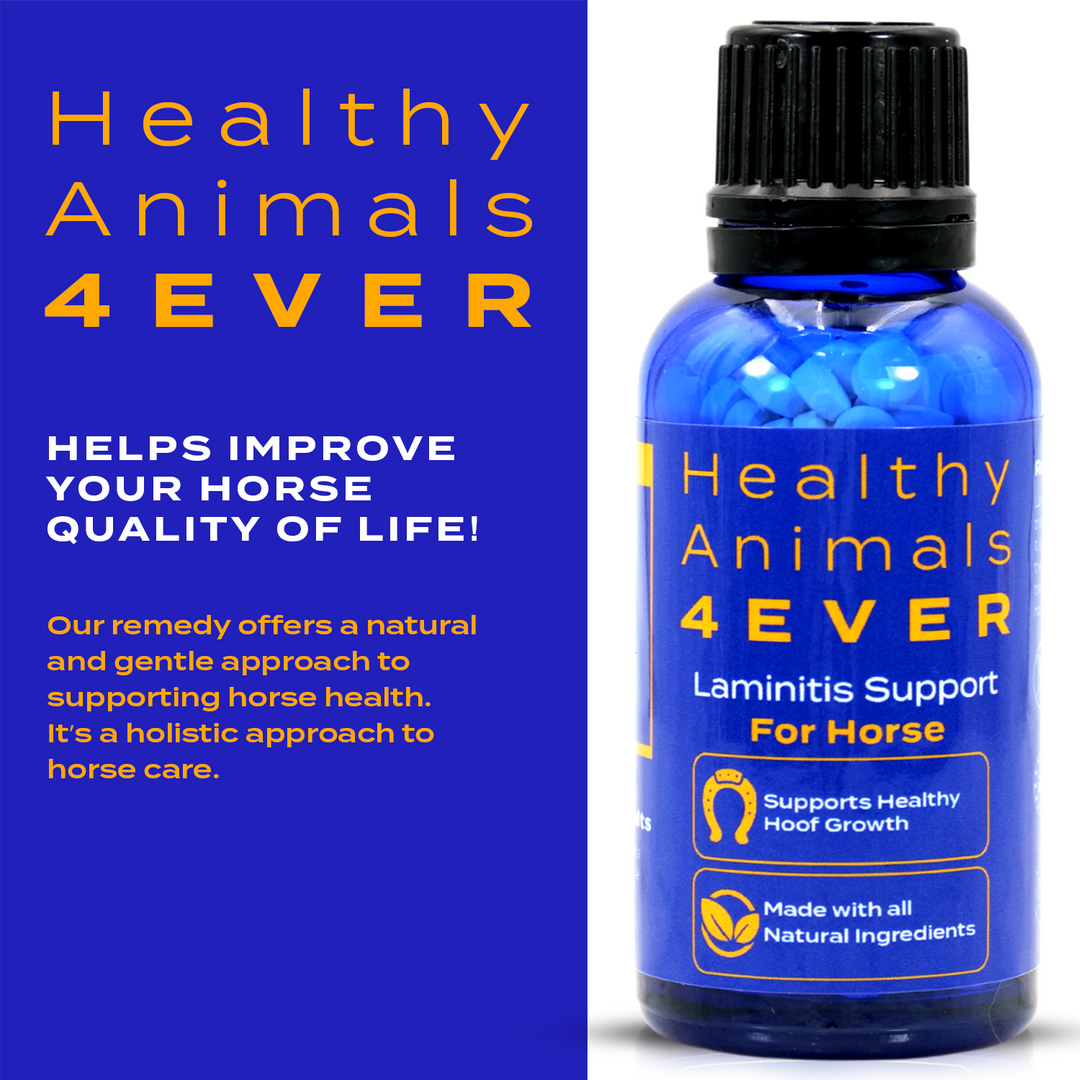 HORSE LAMINITIS SUPPORT