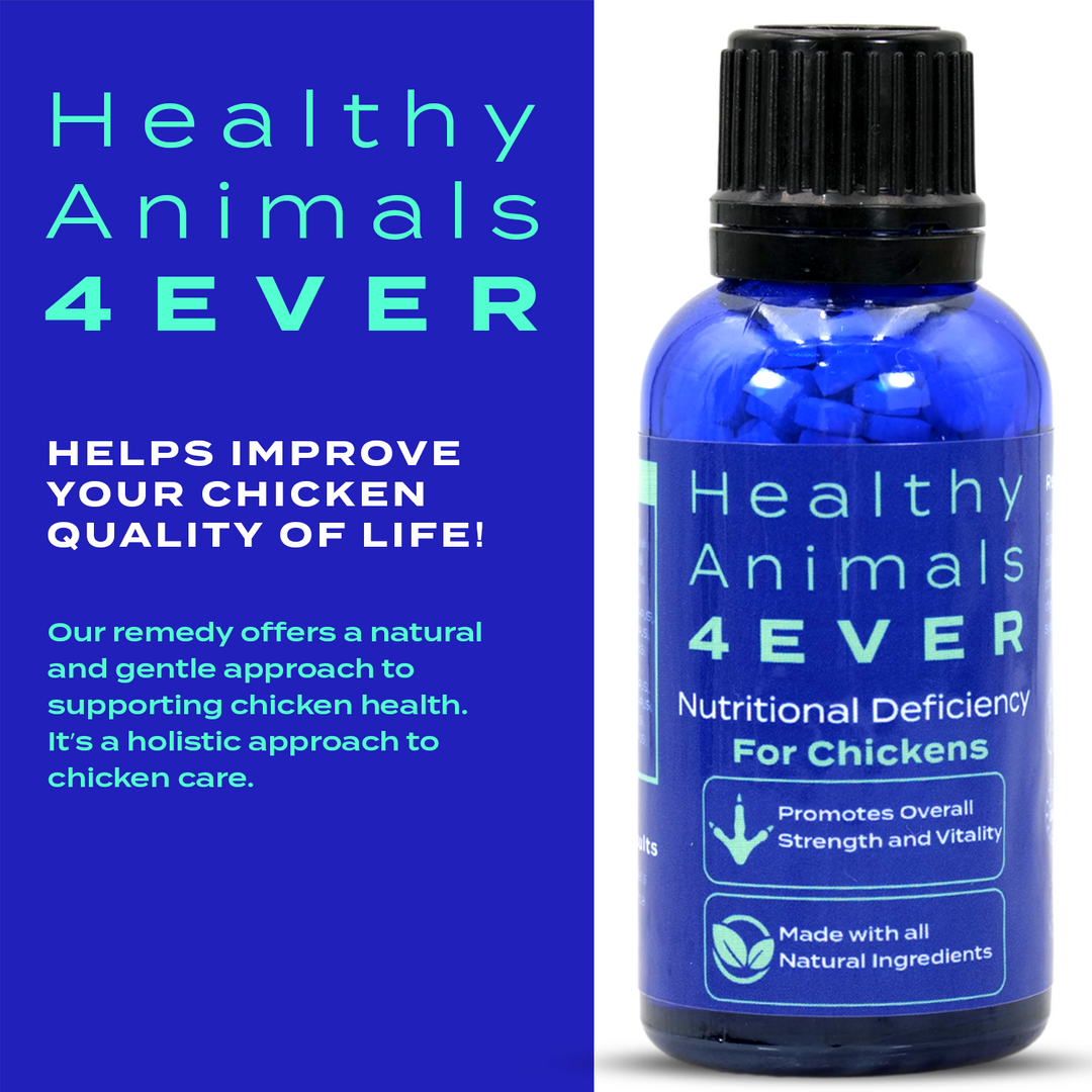 HEALTHYANIMALS4EVER ALL-NATURAL CHICKEN NUTRITIONAL DEFICIENCY SUPPLEMENT Six Pack- Save 50%