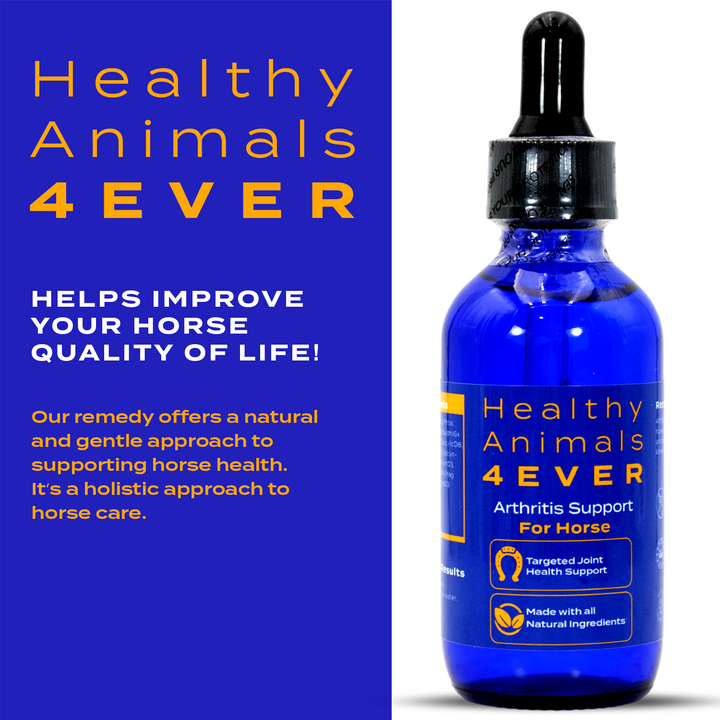 HORSE ARTHRITIS SUPPORT(Liquid)