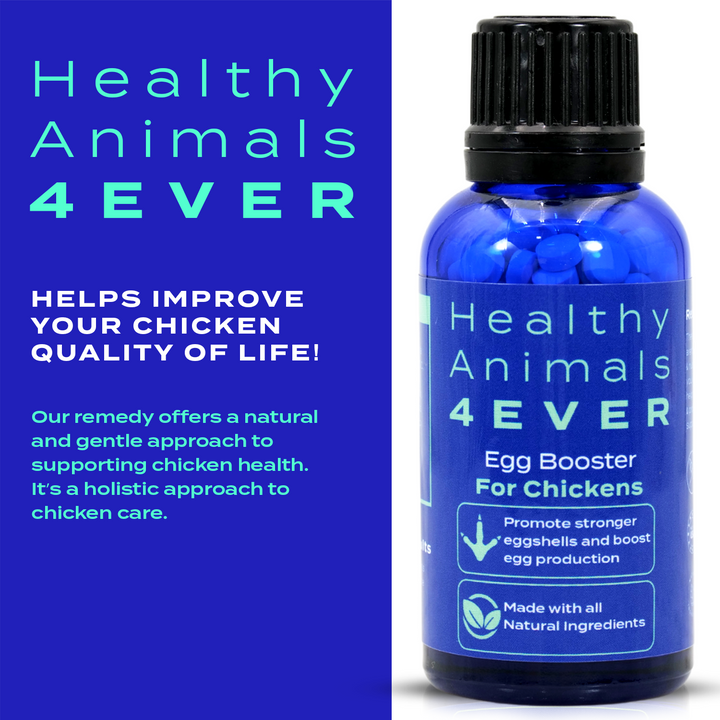 HEALTHYANIMALS4EVER ALL-NATURAL CHICKEN EGG BOOSTER