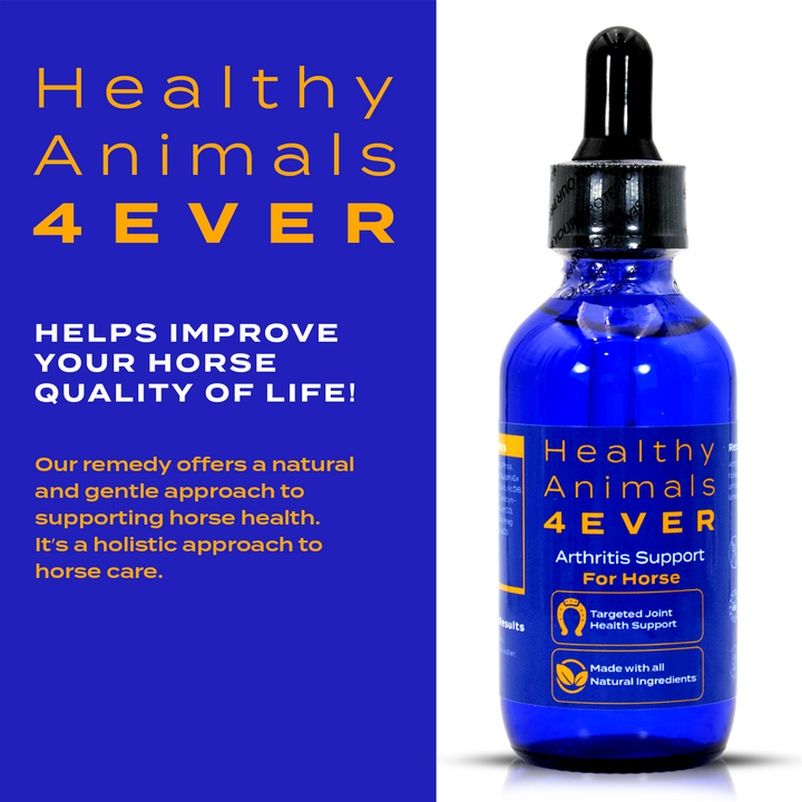 HORSE ARTHRITIS SUPPORT(Liquid)