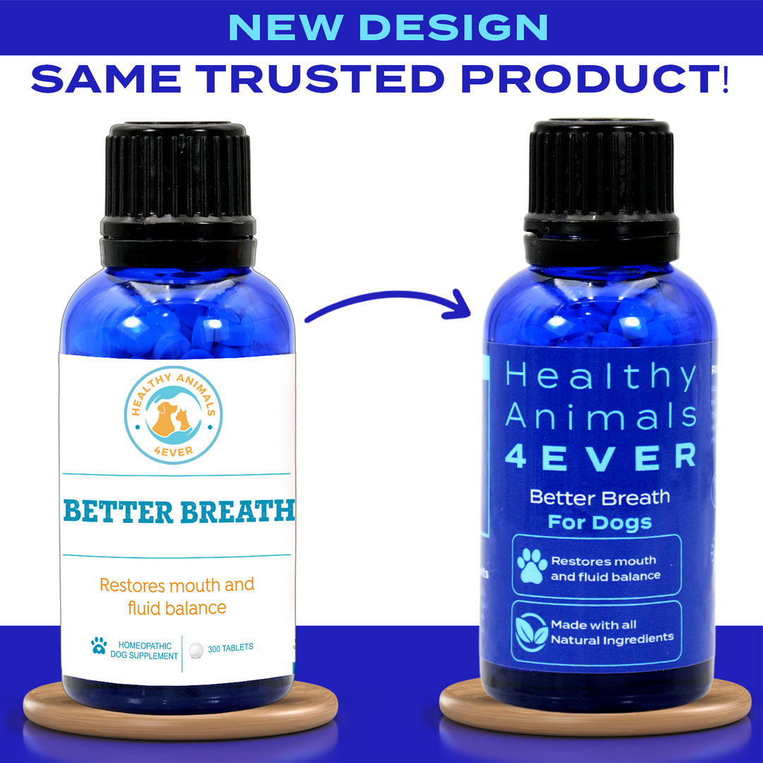 Better Breath - Dogs