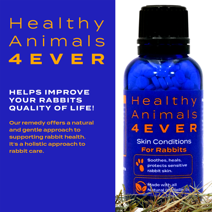 Skin Condition Remedy for Rabbits