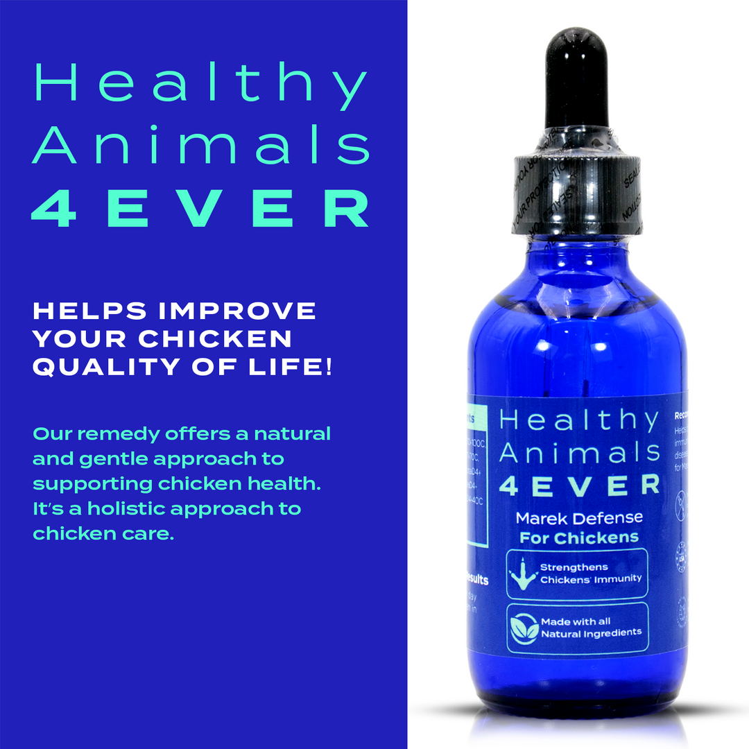 HEALTHYANIMALS4EVER ALL-NATURAL CHICKEN IMMUNITY SUPPORT FOR MAREK’S DISEASE (Liquid) Six Pack- Save 50%