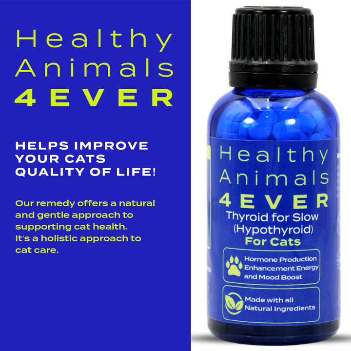 Natural Hypothyroidism Support Formula for Cats,  Triple Pack- Save 30%