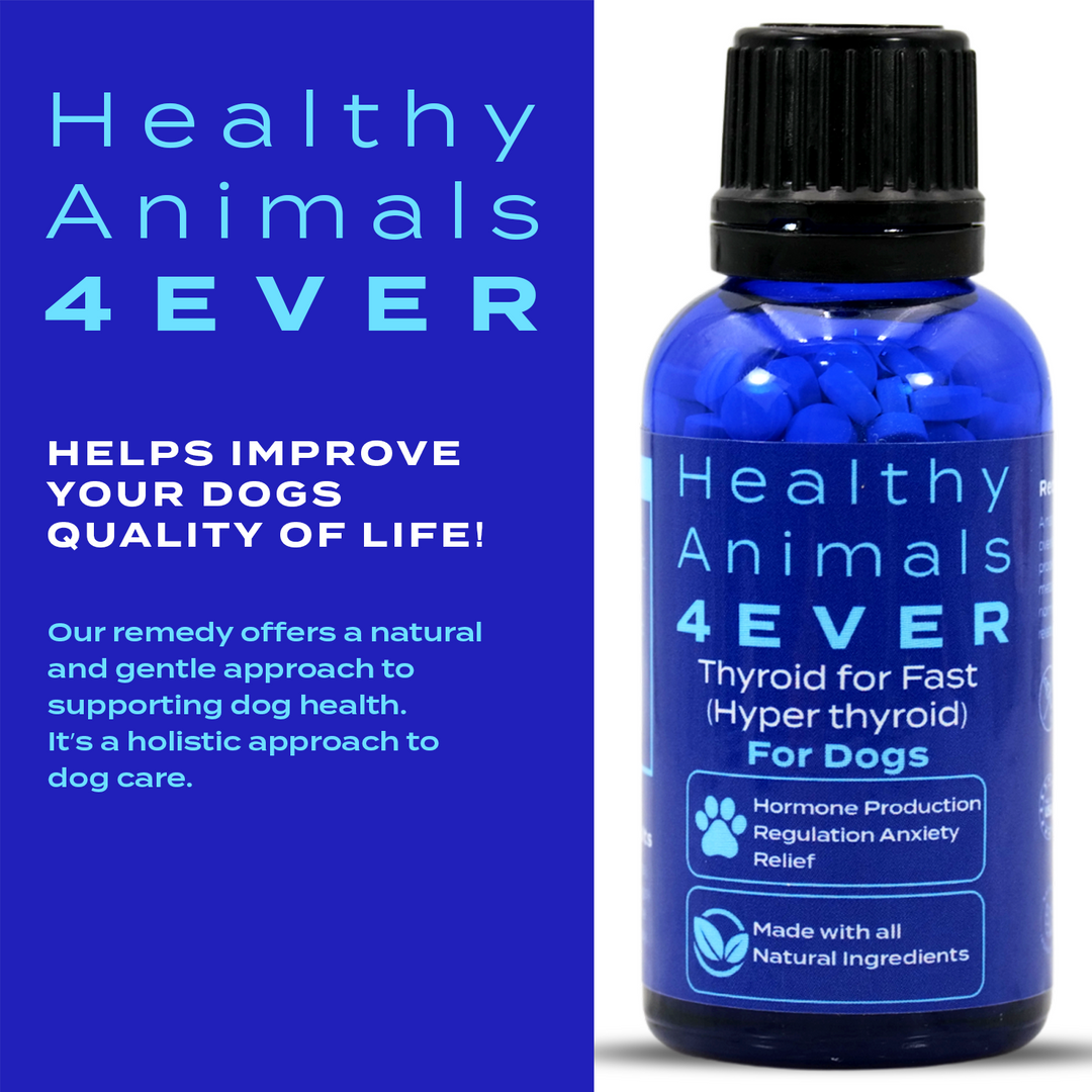 Natural Hyperthyroidism Support Formula for Dogs,  Triple Pack- Save 30%