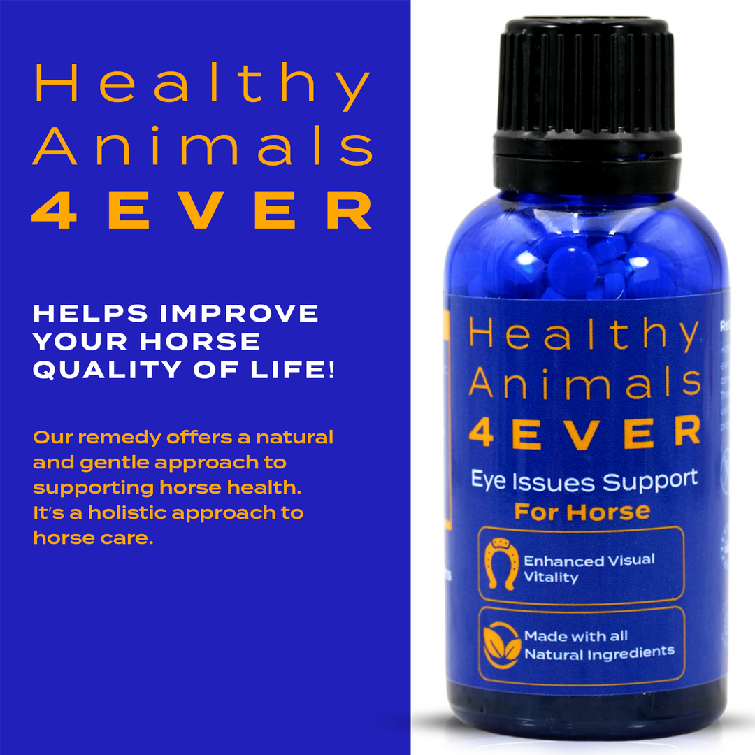 HORSE EYE HEALTH SUPPORT