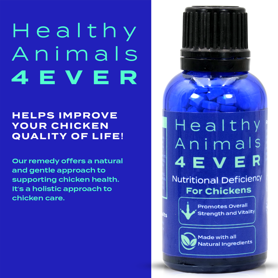 HEALTHYANIMALS4EVER ALL-NATURAL CHICKEN NUTRITIONAL DEFICIENCY SUPPLEMENT