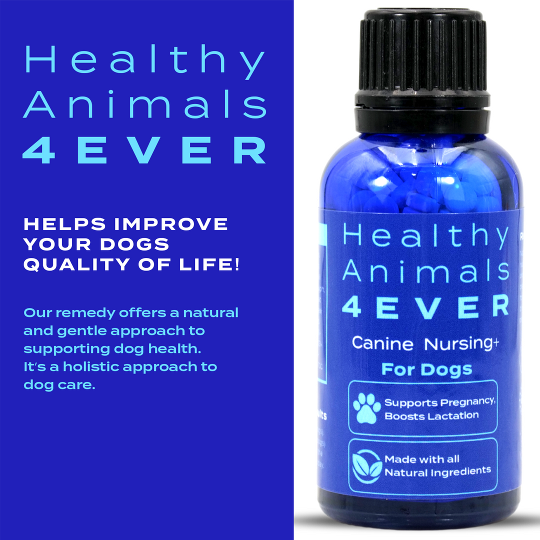 HEALTHY ANIMALS 4EVER - NURSING SUPPORT FOR DOGS