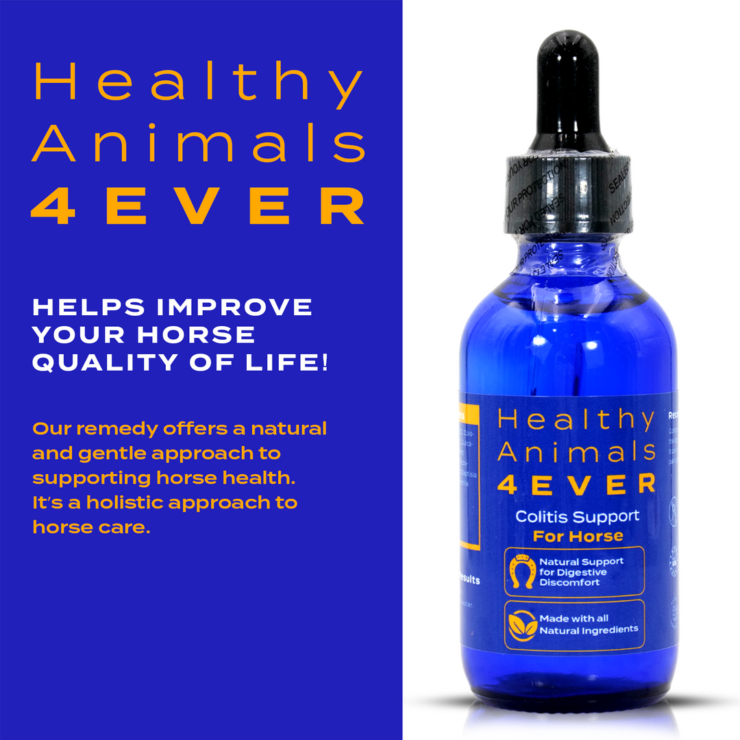 HORSE COLITIS SUPPORT (Liquid)