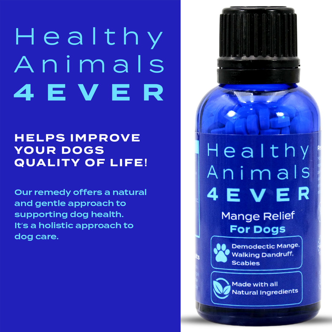 Mange Relief for Dogs - Treatment for Itchiness, Scabs, & Hair Loss Caused by Mites