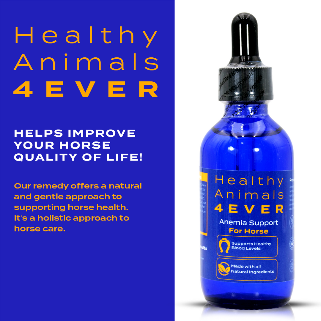 HORSE ANEMIA SUPPORT (Liquid)