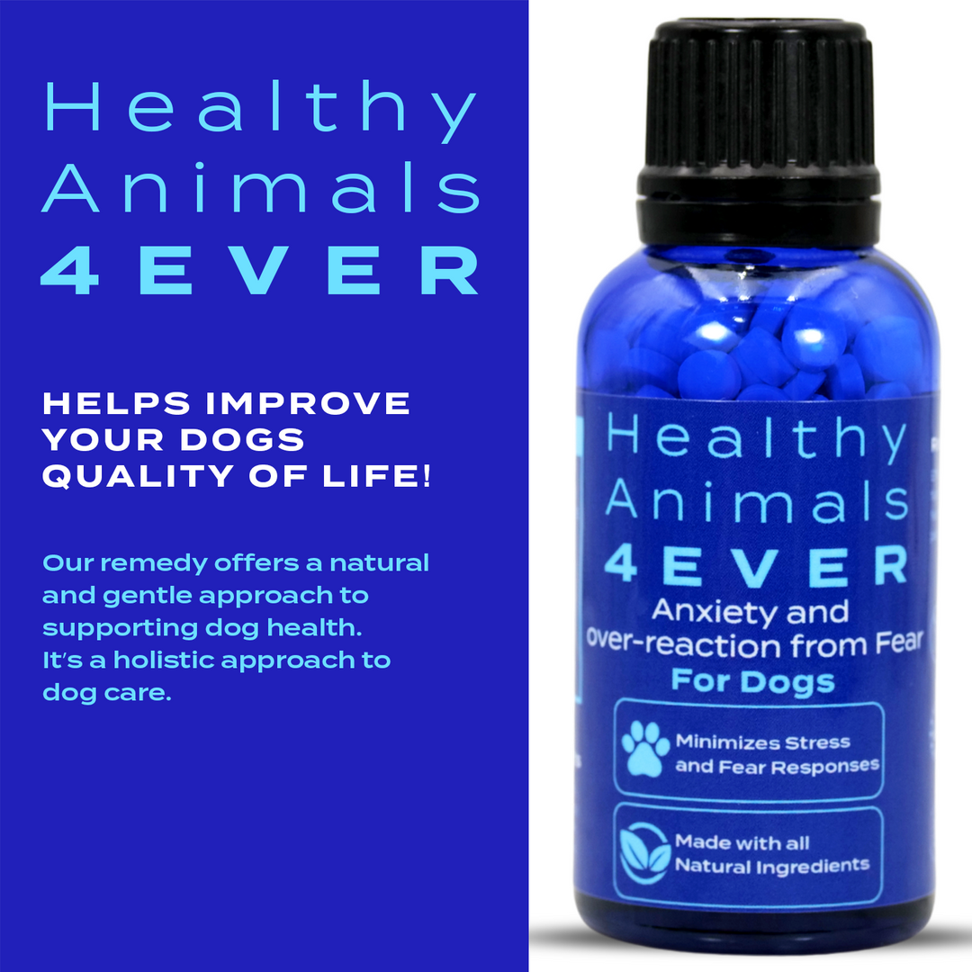 Anxiety and Over-Reaction from Fear Formula for Dogs, 300 Pellets, 30-Day Supply