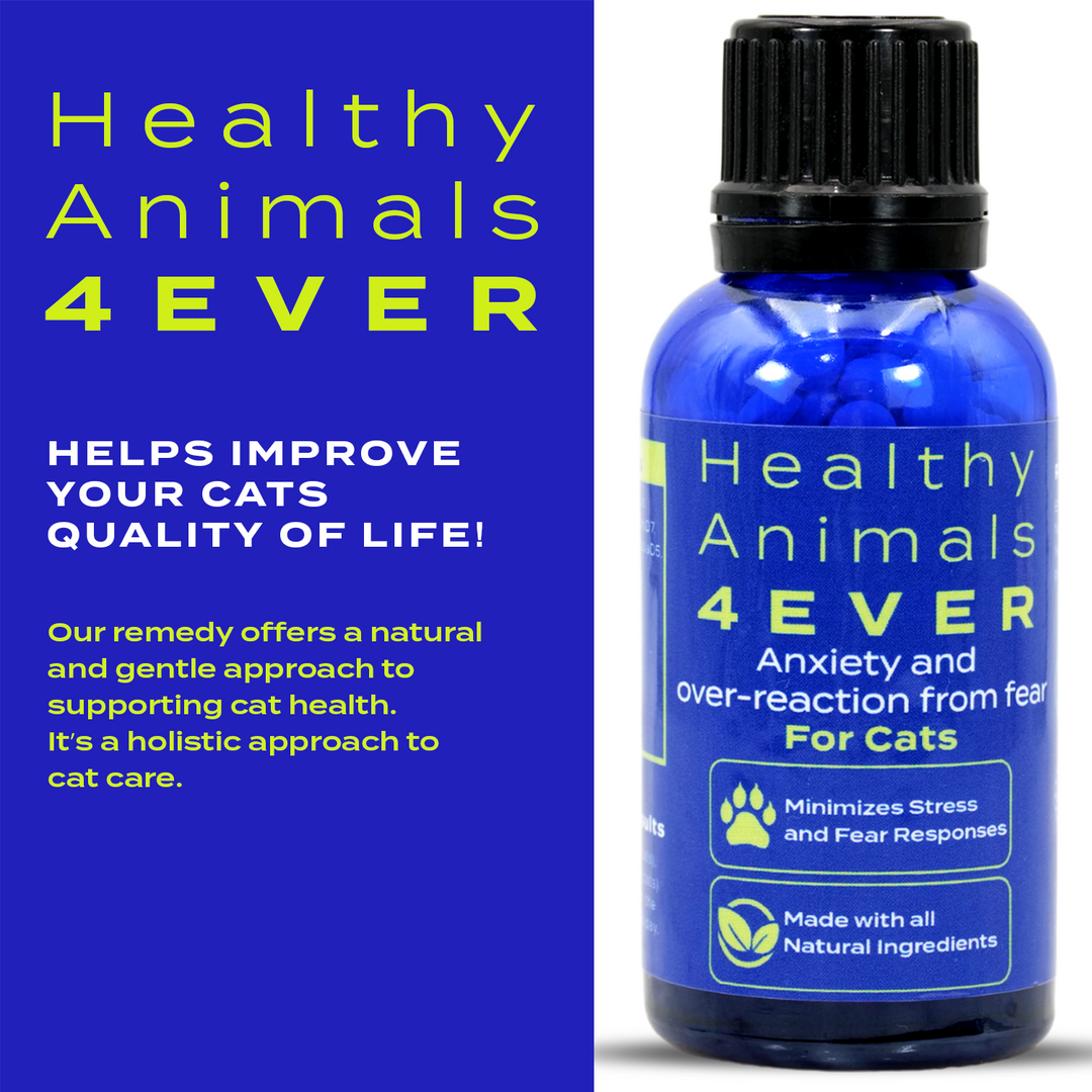 Anxiety and Over-Reaction from Fear Formula for Cats Triple Pack- Save 30%