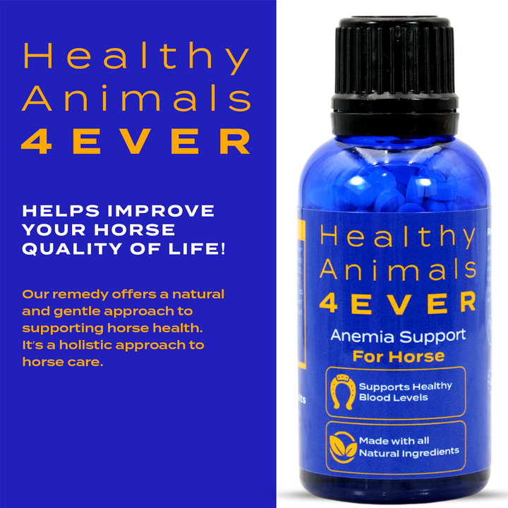 HORSE ANEMIA SUPPORT Triple Pack- Save 30%