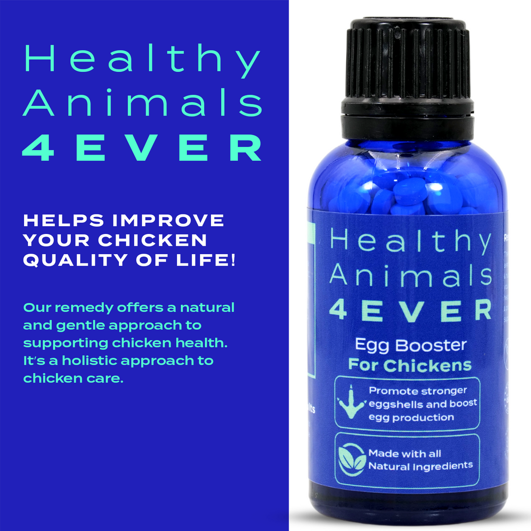 HEALTHYANIMALS4EVER ALL-NATURAL CHICKEN EGG BOOSTER Triple Pack- Save 30%