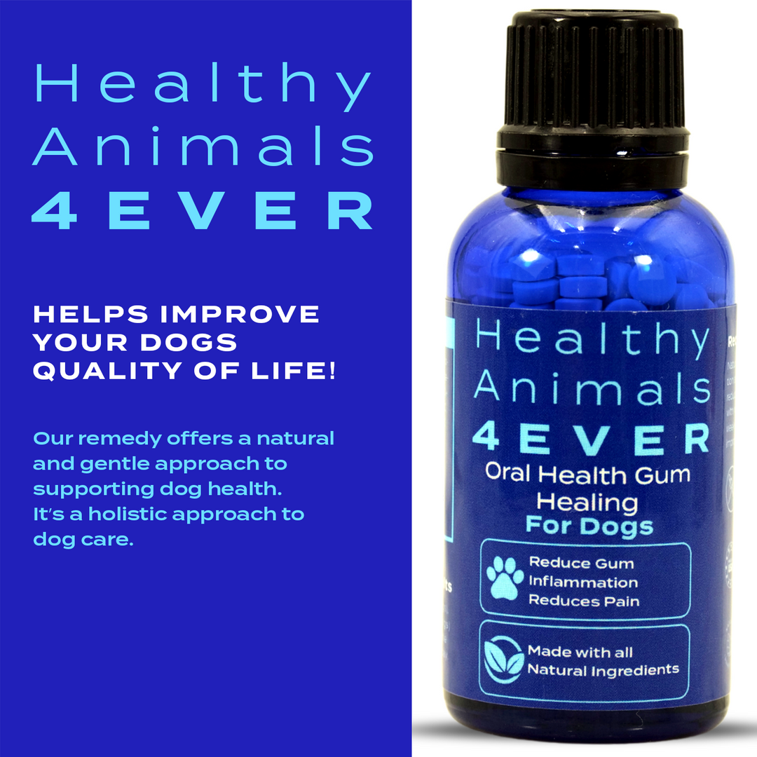 HEALTHYANIMALS4EVER ALL-NATURAL CHICKEN RESPIRATORY SUPPORT Six Pack- Save 50%