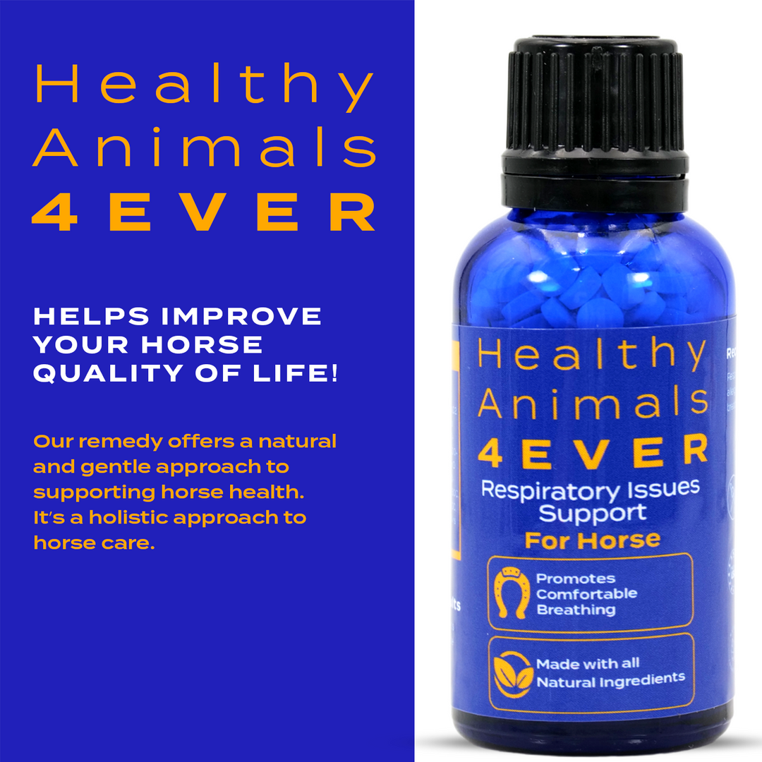 HORSE RESPIRATORY ISSUES SUPPORT Six Pack- Save 50%