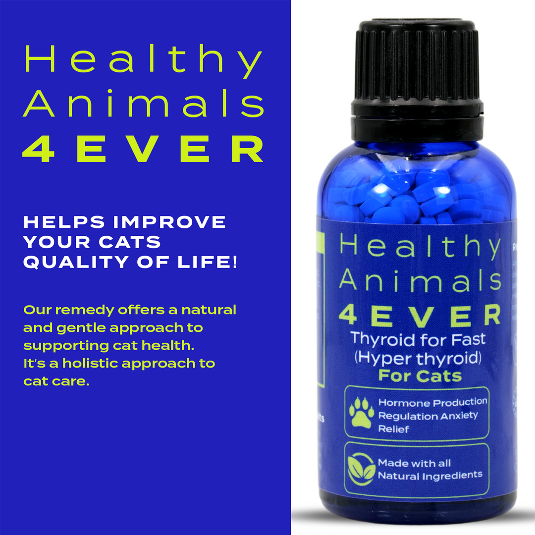 Natural Hyperthyroidism Support Formula for Cats, 300 Pellets, Six Pack- Save 50%