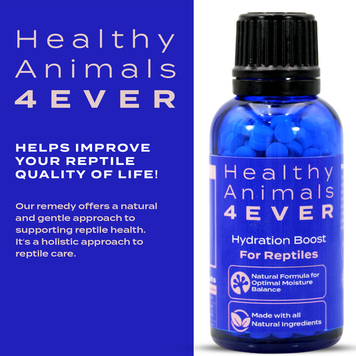 Hydration Boost for Reptiles: Natural Formula for Optimal Moisture Balance Six Pack- Save 50%