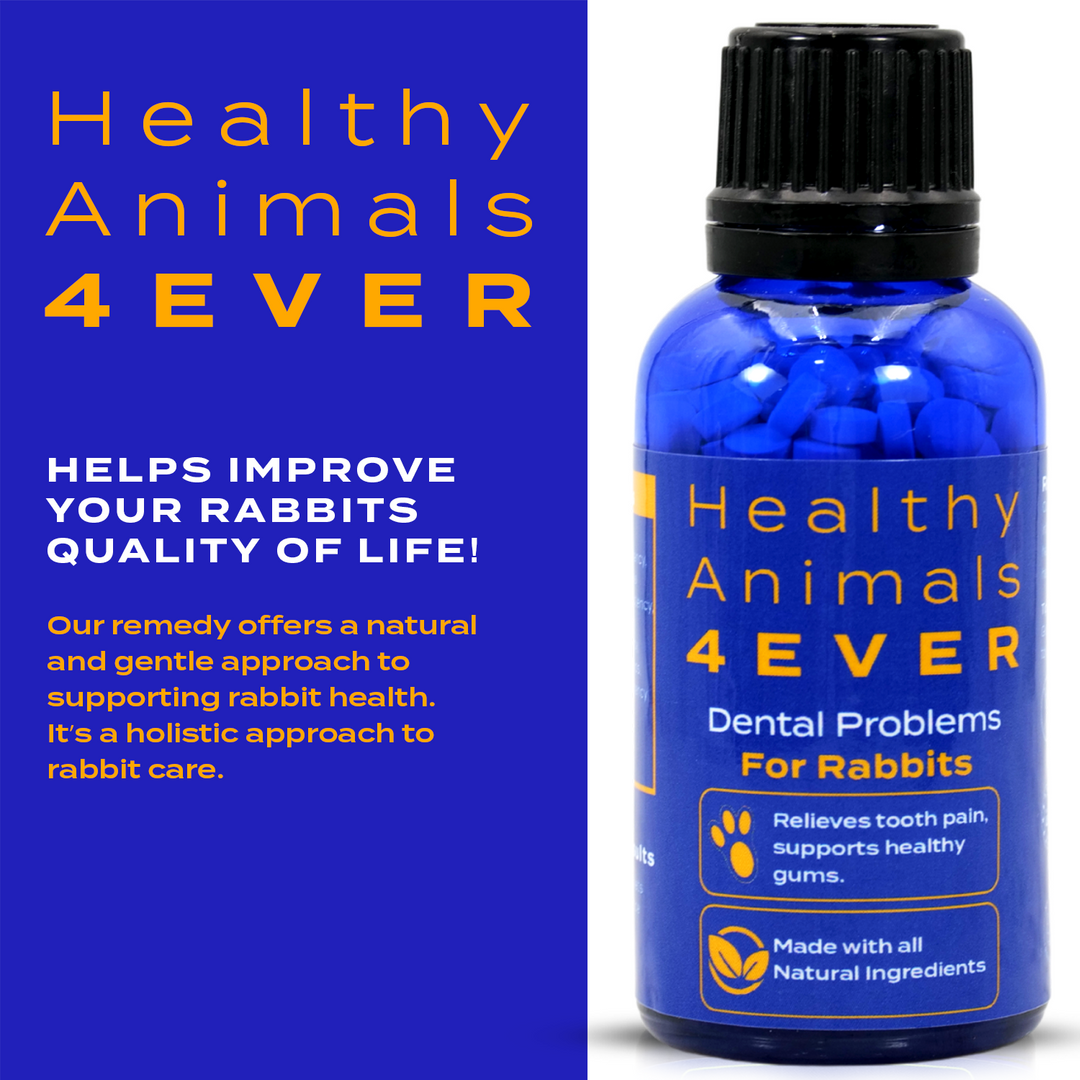 Dental Problems Remedy for Rabbits  Triple Pack- Save 30%