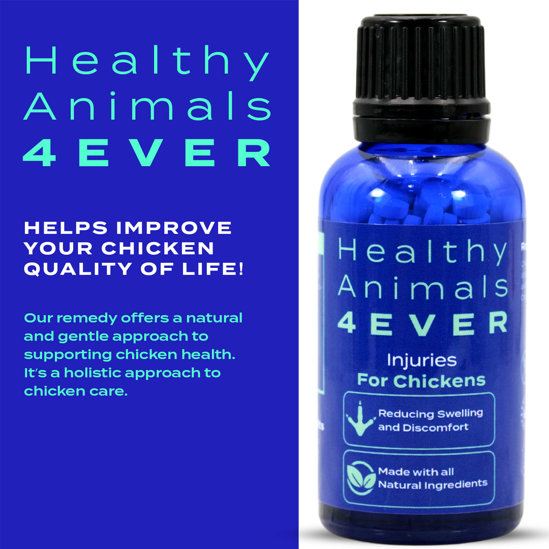 HEALTHYANIMALS4EVER ALL-NATURAL CHICKEN INJURY SUPPORT