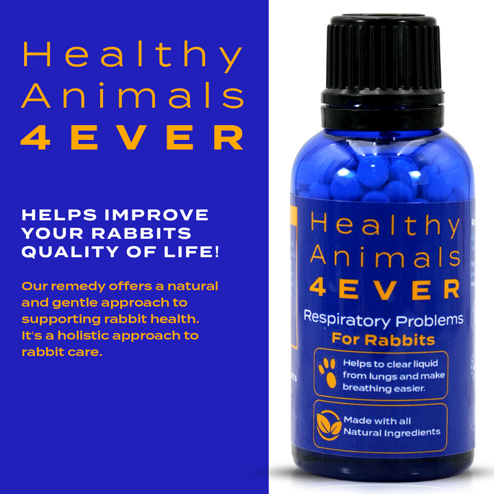 Respiratory Infection Remedy for Rabbits  Triple Pack- Save 30%