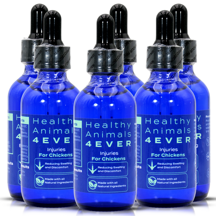 HEALTHYANIMALS4EVER ALL-NATURAL CHICKEN INJURY SUPPORT (Liquid)Six Pack- Save 50%