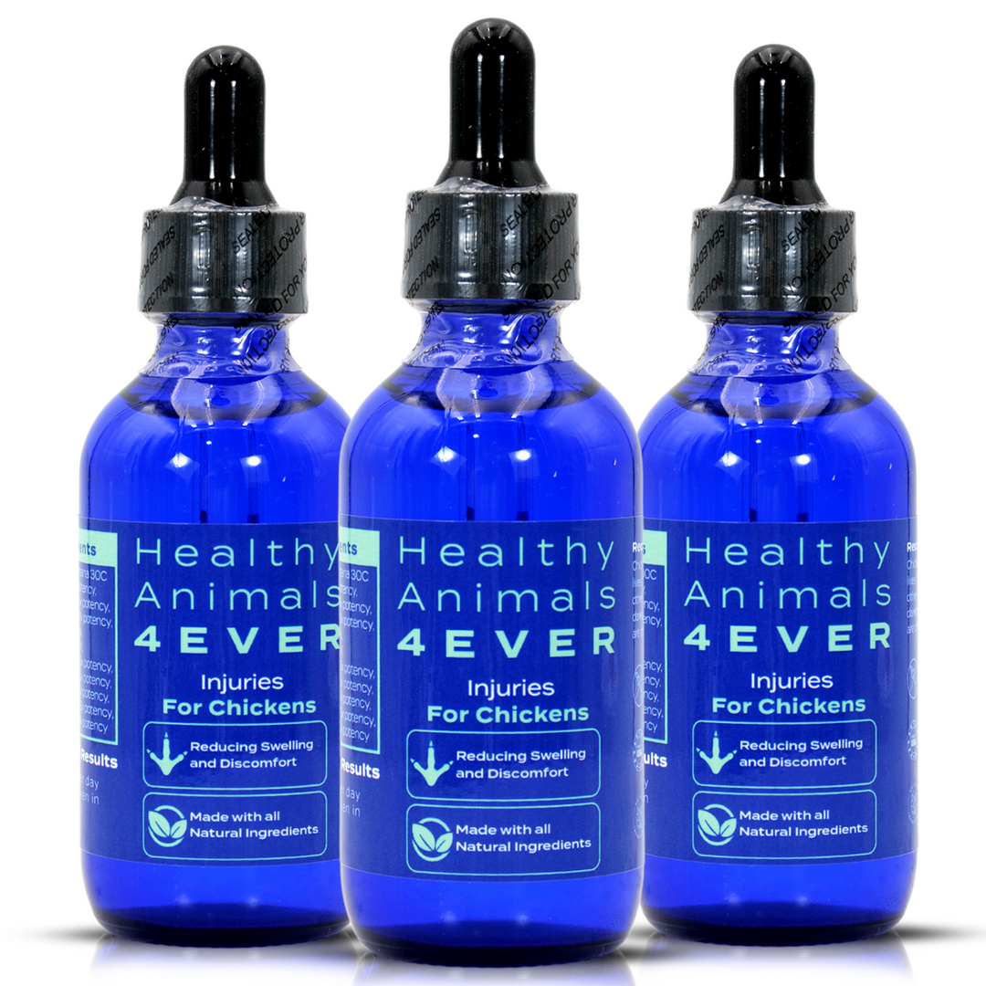 HEALTHYANIMALS4EVER ALL-NATURAL CHICKEN INJURY SUPPORT (Liquid)Triple Pack- Save 30%