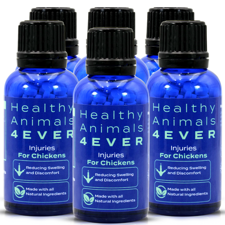 HEALTHYANIMALS4EVER ALL-NATURAL CHICKEN INJURY SUPPORT  Six Pack- Save 50%