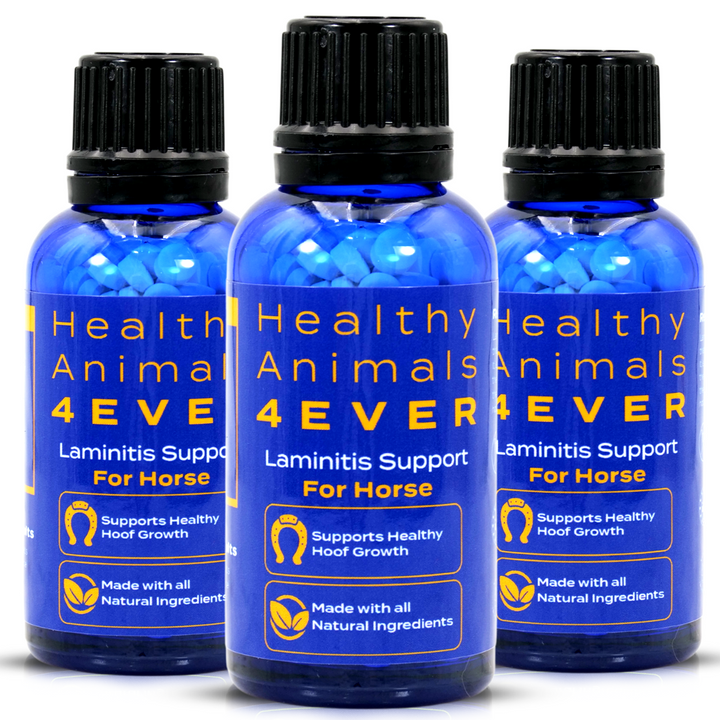 HORSE LAMINITIS SUPPORT  Triple Pack- Save 30%