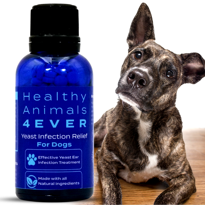 Yeast Infection Relief for Dogs Six Pack- Save 50%