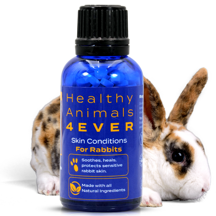 Skin Condition Remedy for Rabbits Six Pack- Save 50%