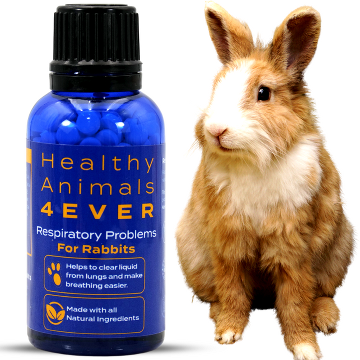 Respiratory Infection Remedy for Rabbits  Triple Pack- Save 30%