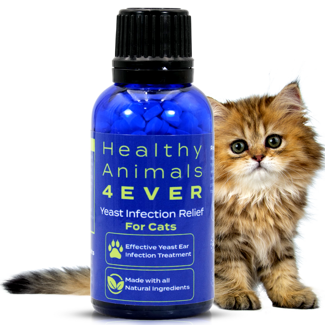 Yeast Infection Relief for Cats-  Six Pack- Save 50%