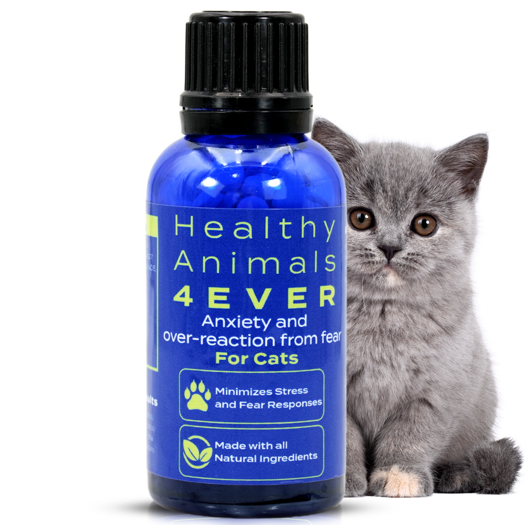 Anxiety and Over-Reaction from Fear Formula for Cats,  Six Pack- Save 50%